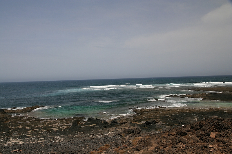 Kanary_2010 118